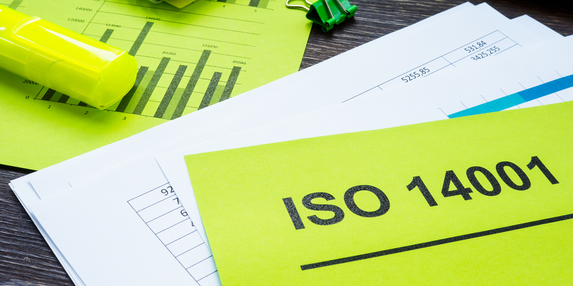 Mit der Einführung eines Umweltmanagementsystems leistet ihr einen Beitrag zu den UN-Nachhaltigkeitszielen. © Shutterstock, Vitalii
