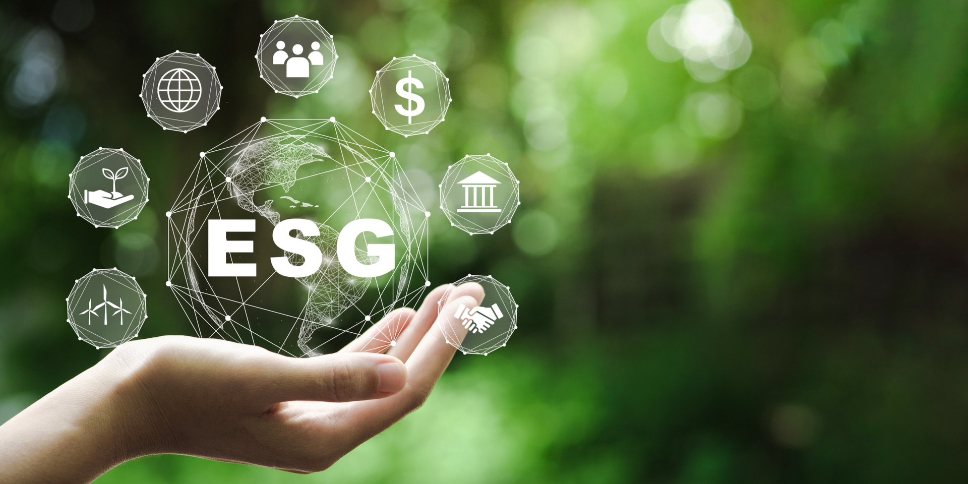 Die ESG Kriterien bieten Orientierung zu nachhaltigerem Handeln. © Shutterstock, Deemerwha studio
